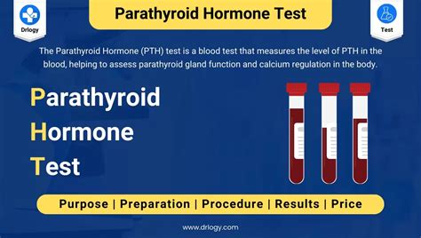 Parathyroid Hormone (PTH) Test: MedlinePlus Medical Test.